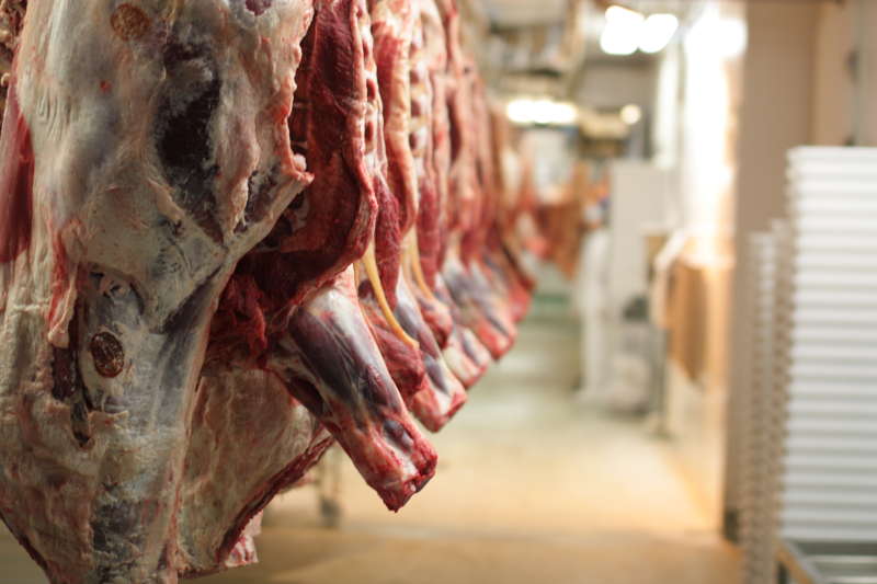 Литванску говедину коју је забранила Русија, увозиће БиХ
