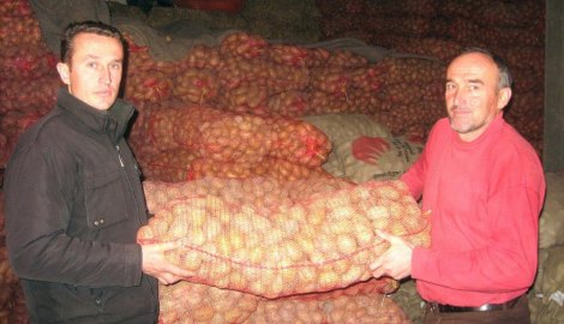Док Србија масовно увози кромпир из ЕУ наши произвођачи бацају на хиљаде тона кромпира у потоке и јаруге јер нема купаца