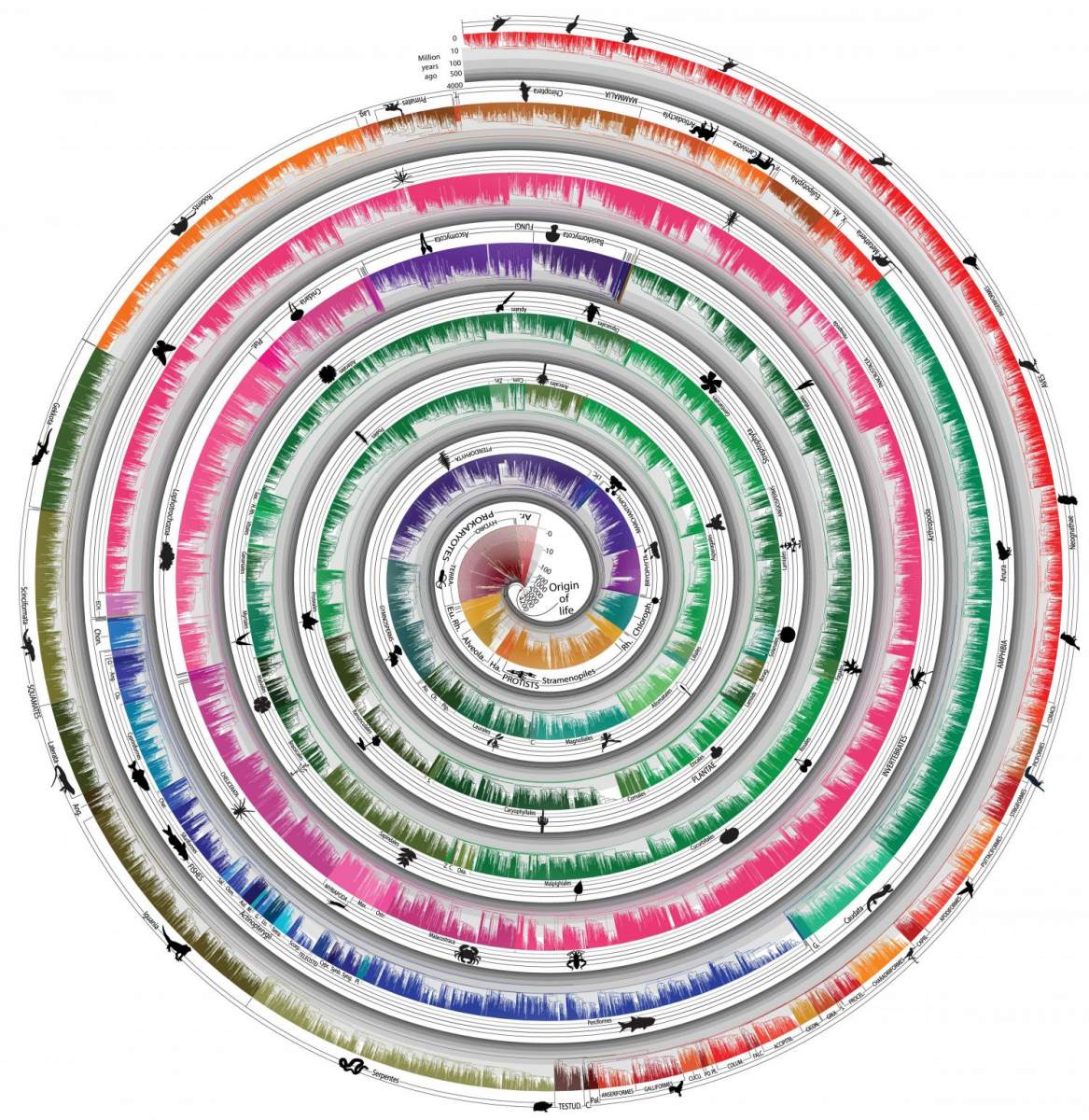 Направљено „дрво живота“ које доводи у питање Дарвинову теорију природне селекције