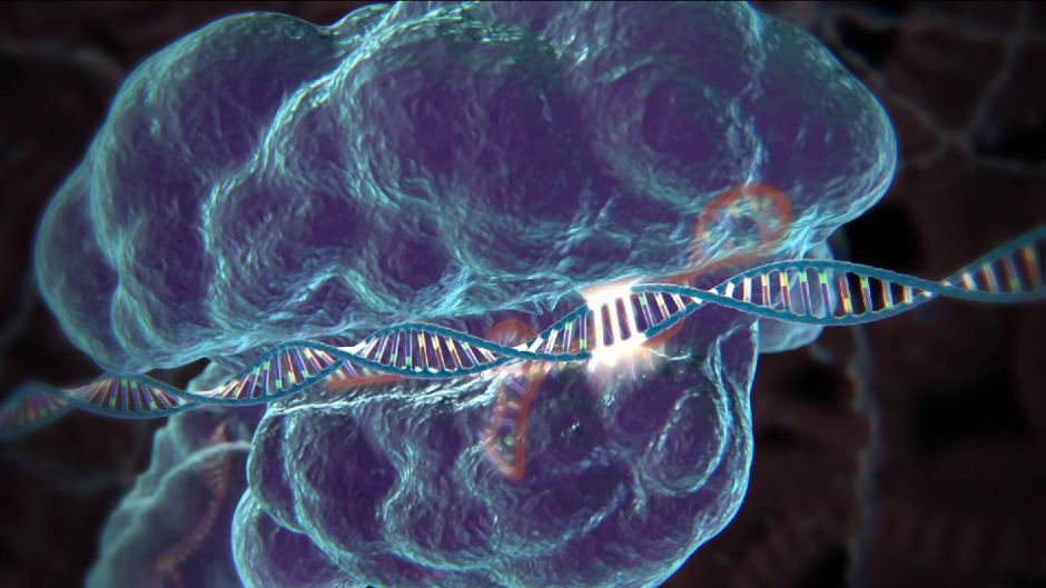 Играју се Бога: Научници тајним експериментима модификовали гене људских ембриона