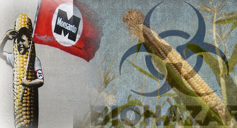 "Запад би Украјину да претвори у земљиште за узгој ГМО отрова"