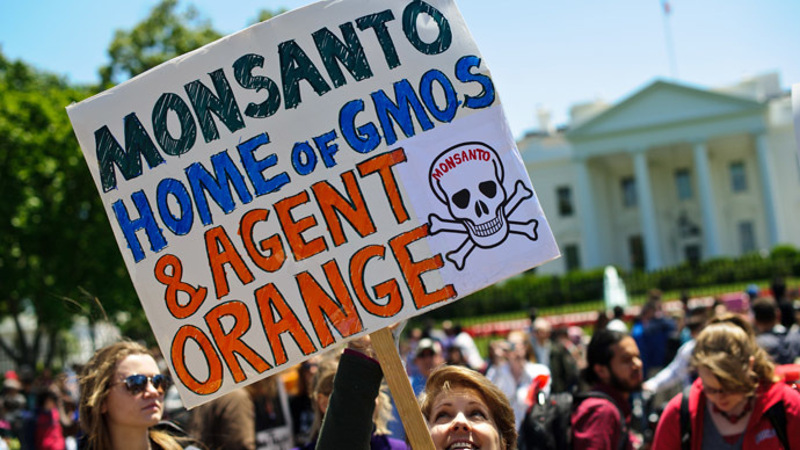 Стотине хиљада људи у 400 градова широм света протестовали против "Монсанта" и ГМО
