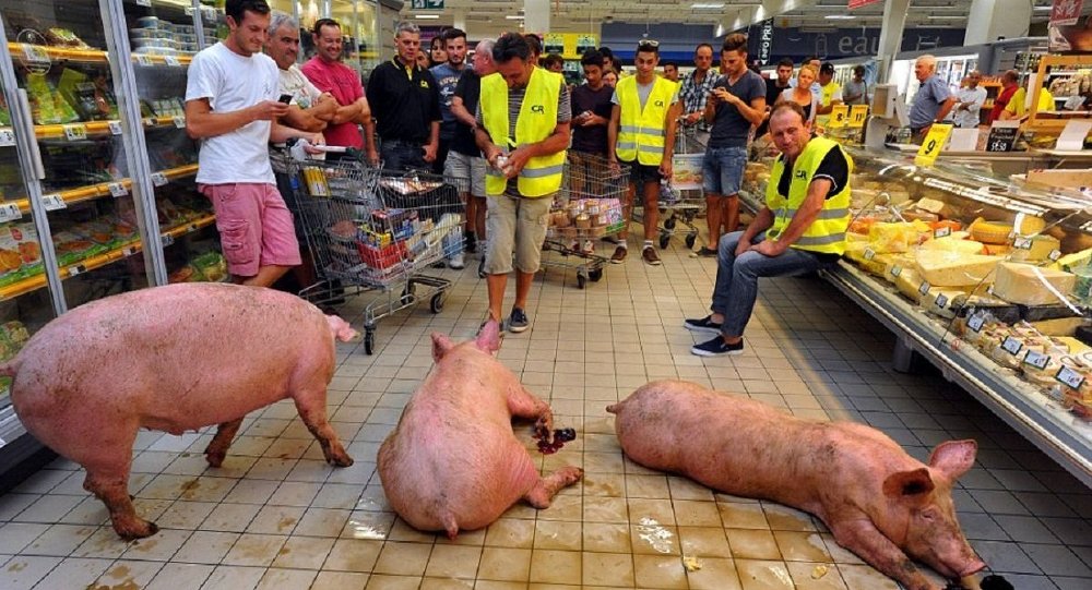 Кад свиње умарширају у супермаркет! Француски сељаци протестују због ниске откупне цене стоке и аграрне политике владе (видео)