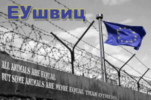 ЕУ је у мигрантској кризи тотално и комплетно оставила Србију на цедилу, Дачић прети контрамерама