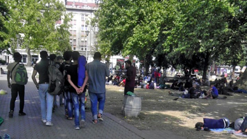 У парку код аутобуске станице више од 300 избеглица, не желе у Крњачу