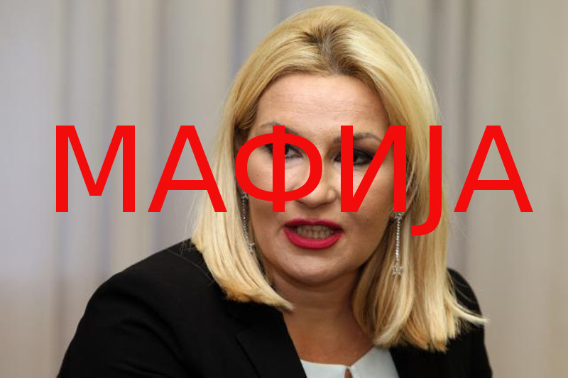 МАФИЈА! По чијем налогу и за кога је Зорана Михајловић покушала да опљачка 2.213 хекатара земље на Златибору?