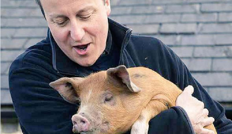 ЖЕСТОКИ СКАНДАЛ У БРИТАНИЈИ! Премијера Камерона оптужили да је имао секс са главом мртве свиње?!