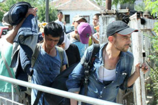 У Србији око 3.000 миграната, дневно из земље оде тек 30