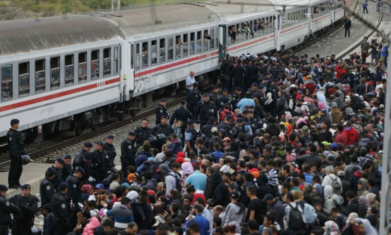 ТИМЕРМАНС: Око 60 одсто избеглица нису избеглице већ економски мигранти
