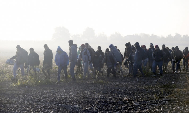 Хрвати и Мађари враћају мигранте кроз њиве у Србију