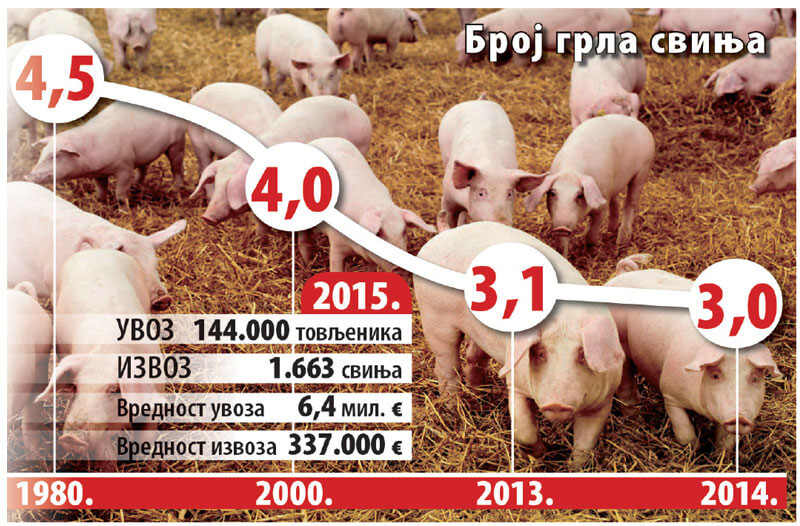 Србима се више исплати тов свиња