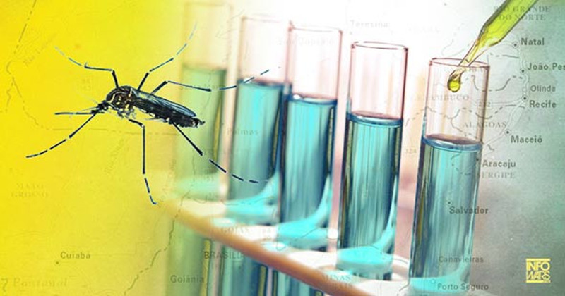 ЗИКА ВИРУС: Прво у природу пусте ГМО комарце, заразе свет вирусом па га онда лече од истог (фото)