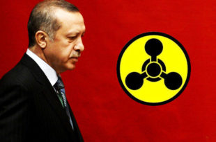 Ердоган је диктатор, секташ и кукавица!
