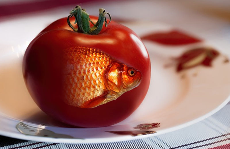 Потврђен први смртни случај проузрокован ГМО храном!