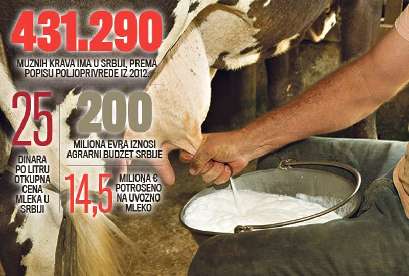Упропашћујемо сами себе: Србија се дави у увозном млеку