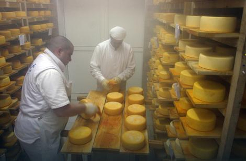 Увоз вишка из ЕУ уништава домаћи сир