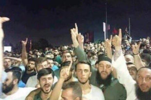 Трујумф "демократије" у Турској: Салафисти, Сиви вукови и сиријски терористи (фото)