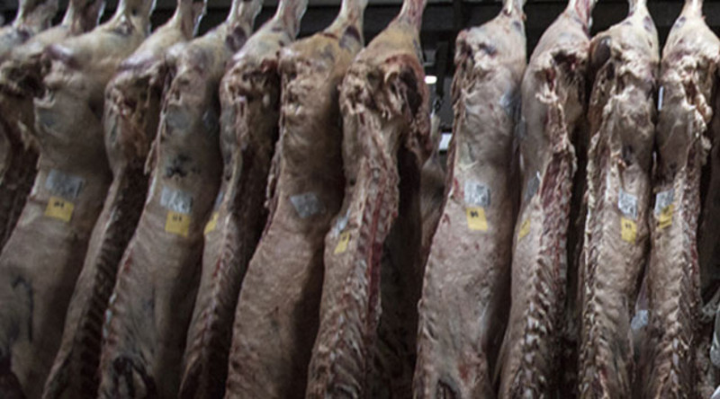 У луку Бар стигло замрзнуто месо из 1982. године које је намењено српском тржишту!