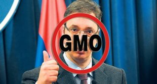 Напредњаци планирају да почетком марта легализују ГМО храну у Србији