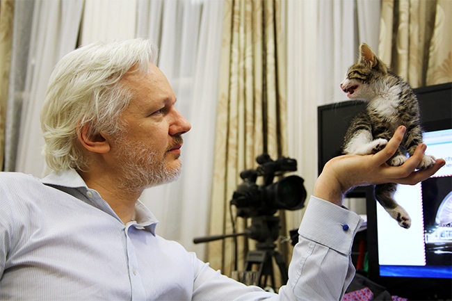 WikiLeaks објављује више тајних докумената америчке шпијунаже него што је открио Сноуден