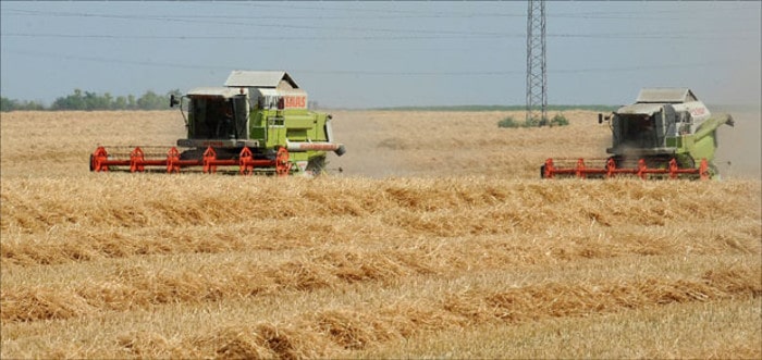 Иако се смањују субвенције и сви јој раде о глави од српске пољопривреде стиже 3,2 милијарде $