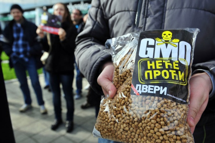 Идемо на референдум о ГМО?