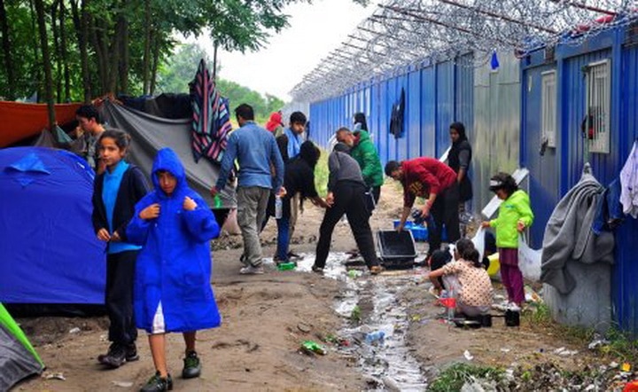 БЕОГРАД НА НОГАМА: У Земуну се гради велики мигрантски камп!?