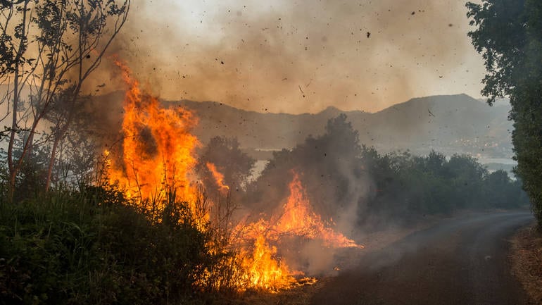 Пожари и даље букте широм Црне Горе (видео)