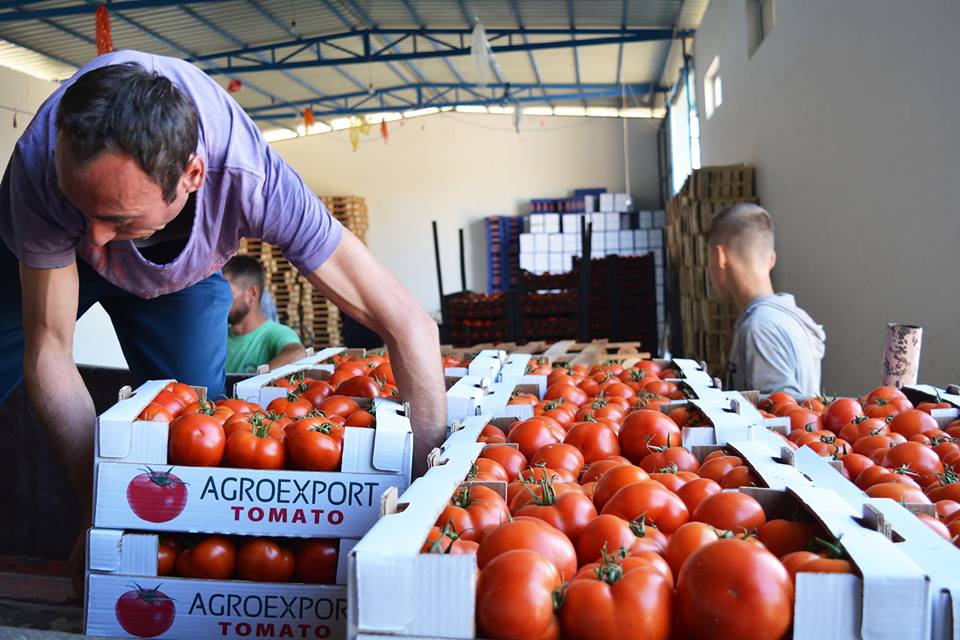 Поврће и воће увезени из Албаније у Србију пуни огромних количина отровних пестицида