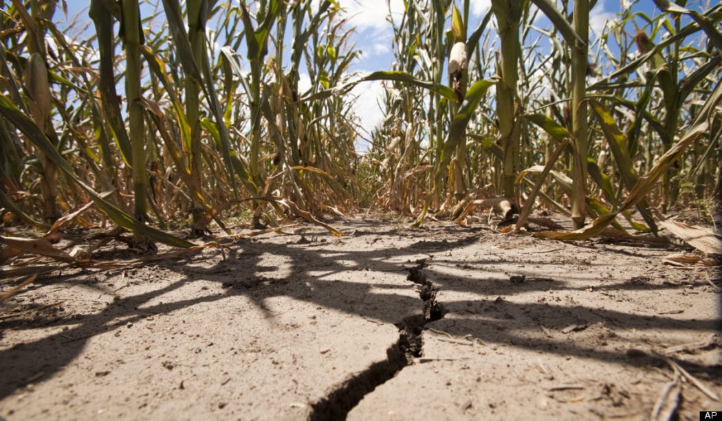 „Штета од суше у пољопривреди преко милијарду долара“