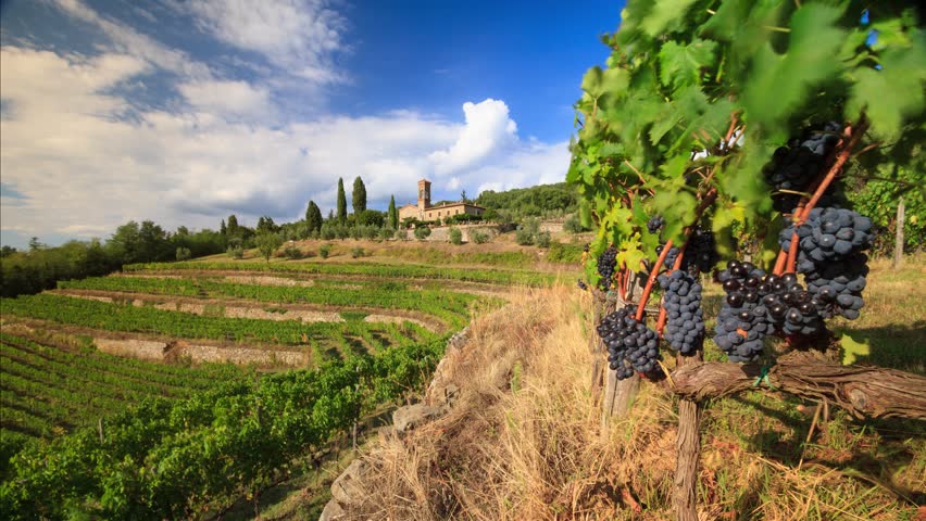 Вишекруна потврдио: Вучић стварно има виноград у Тоскани