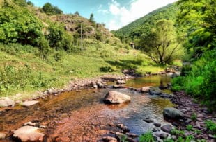 Вучићев режим под хипотеку ставио Ракитску реку која је део заштићеног Националног парка Старе Планине