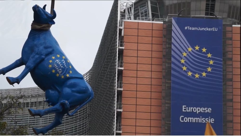 Сељаци у Бриселу обесили ЕУ теле и сукобили се са полицијом (видео)