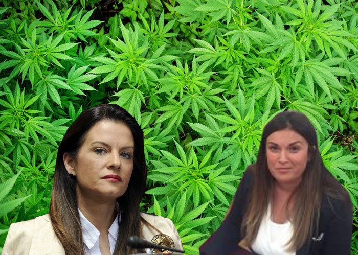 Вучићева министарка Марија Обрадовић потврдила да је сувласник имања са марихуаном