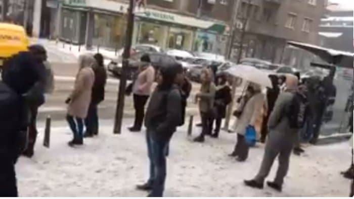 Колапс јавног превоза у Београду (видео)