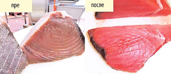 У Европској унији: Покварено месо, обојена туна, лажно млеко у праху, отровни јогурт...