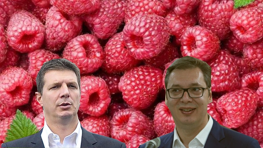 Стаматовић: "Вучићи" признали да они одређује цену малине, а не тржиште!