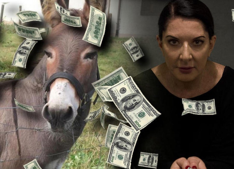 Држава платила 80.000 евра за ДВД у коме Марина Абрамовић гледа у магарца