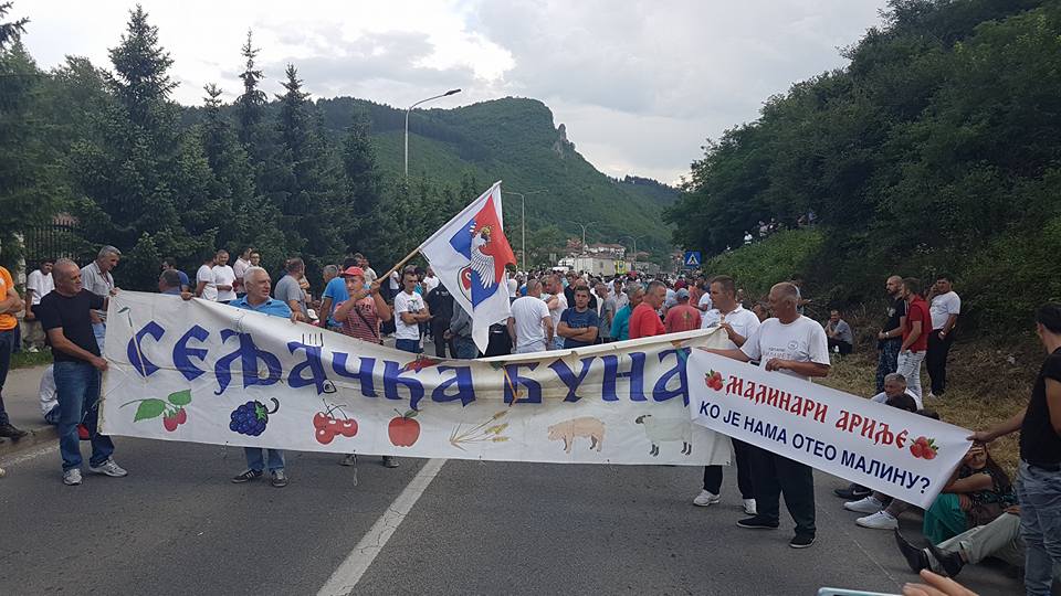 Малинари: Немамо рачун да гајимо малину за цену од 100 динара, блокирана магистрала ка Црној Гори! (видео)
