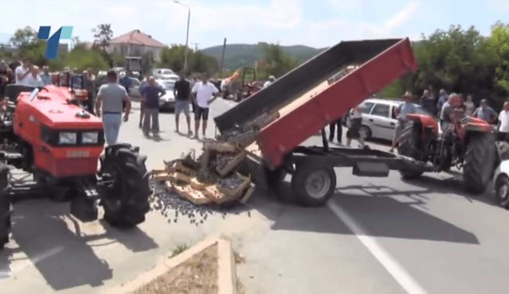 Македонија: Инцидент на протесту збох ниских откупних цена шљиве (видео)