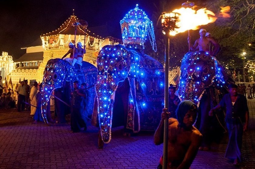 Београд: Милиони за светлеће слонове