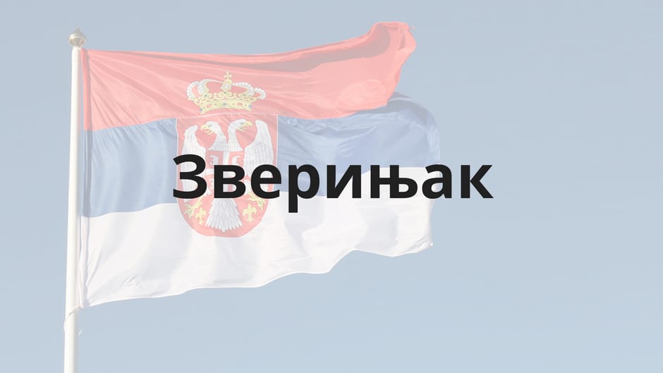 Шта је ово што се данас Србијом зове?