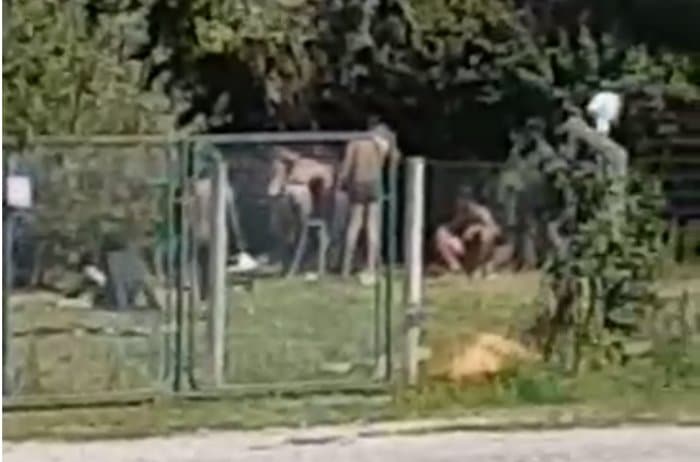 ПРАВО ЛИЦЕ ВУЧИЋЕВЕ СРБИЈЕ! Мигранти врше нужду и шетају голи по лозничком гробљу (видео)