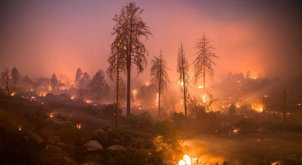 Гори Калифорнија: Десетине мртвих и несталих, уништено на хиљаде објеката, евакуисано 157.000 људи (видео)