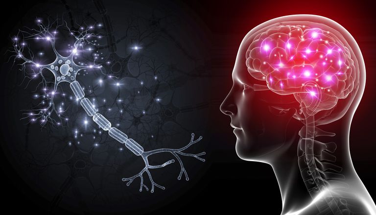 Научници открили тајанствени комуникациони механизам у мозгу