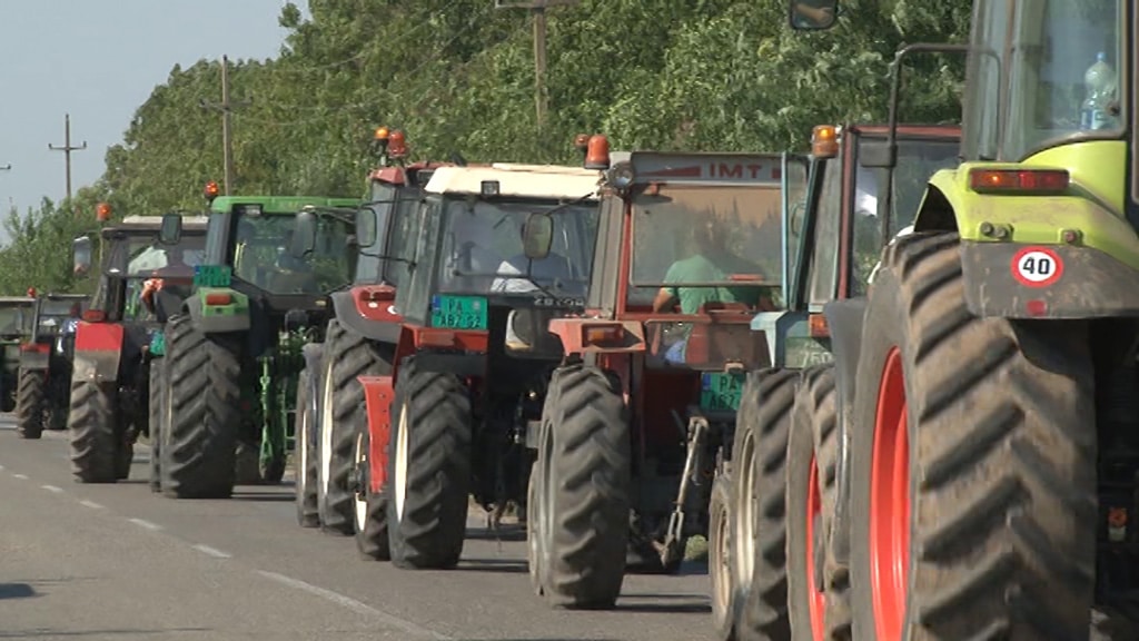 Пољопривредници Долова најавили протест због мизерне откупне цене сунцокрета