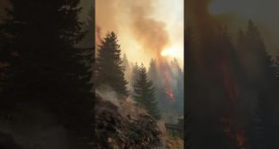 Пожар на Старој планини тренутно највећи у Европи (видео)