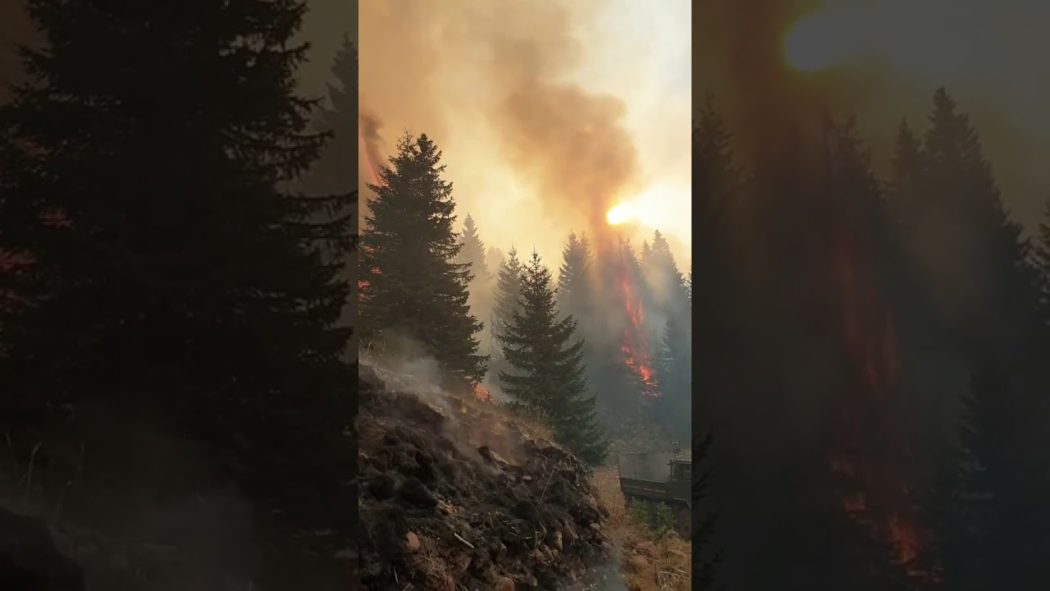 Пожар на Старој планини тренутно највећи у Европи (видео)