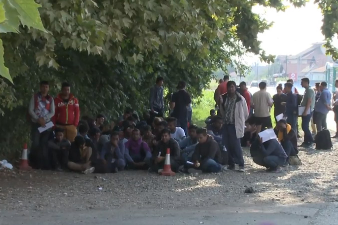 ШИД: После огромног притиска јавности полиција коначно чисти илегалне мигранте (видео)