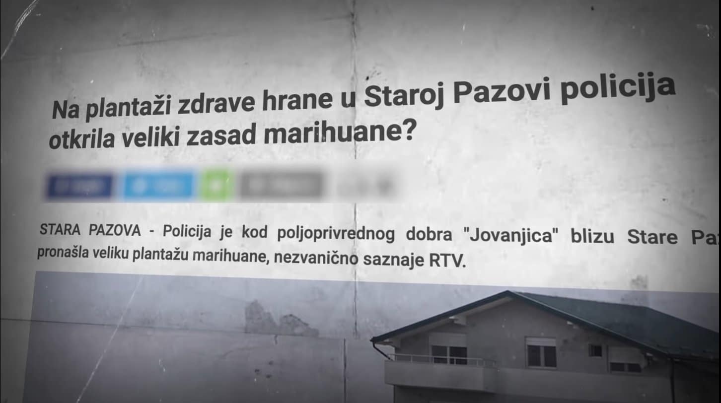 Јовањица: Погледајте шта је полиција затекла на највећој откривеној планатажи марихуане на Балкану (видео)